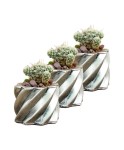 Mini Çiçek Saksı Küçük Sukulent Gümüş Eskitme Kaktüs Saksısı 3lü Set Kalın Çizgili Yıldız Model